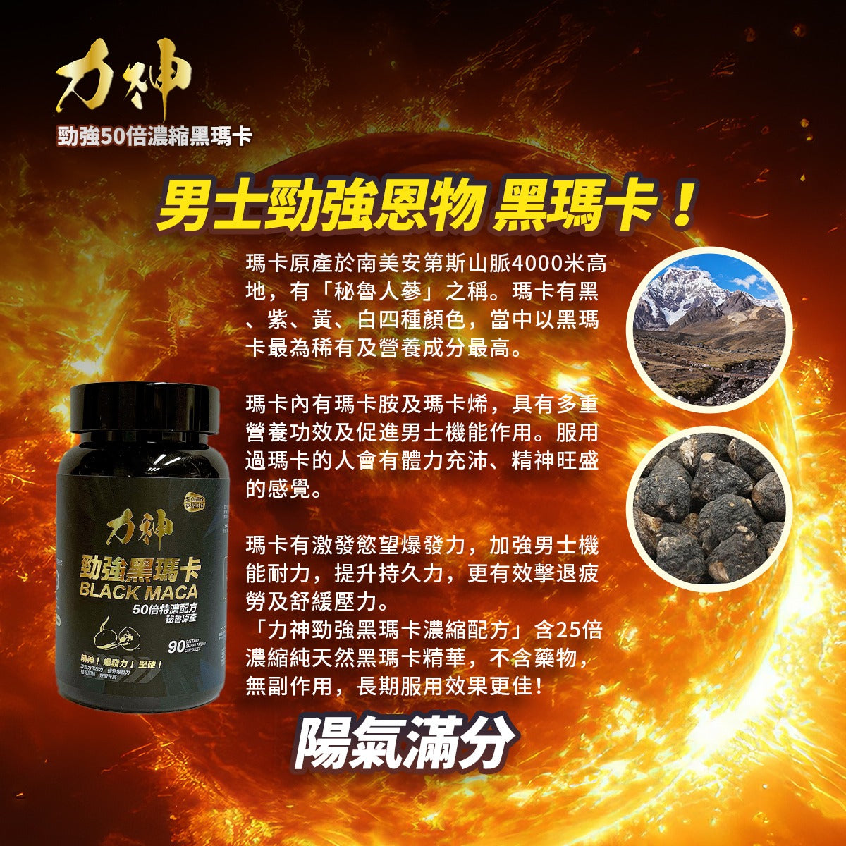 力神 勁強秘魯黑瑪卡(濃縮 50:1配方)