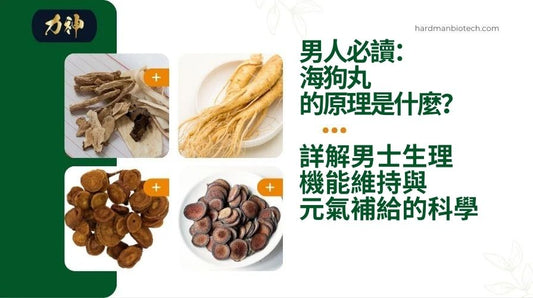 海狗丸對男士生理機能維持與元氣補給的科學