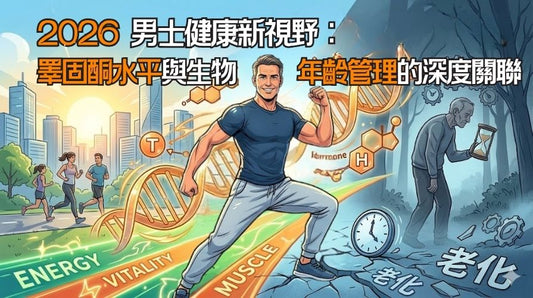 睪固酮水平與生物年齡管理的深度關聯