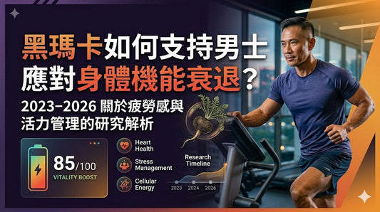 黑瑪卡如何支持男士應對身體機能衰退
