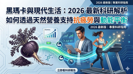 黑瑪卡如何透過天然營養支持抗疲勞與動能平衡