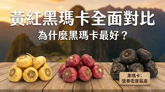 黃瑪卡、紅瑪卡、黑瑪卡全面對比｜為什麼黑瑪卡被認為是最好？