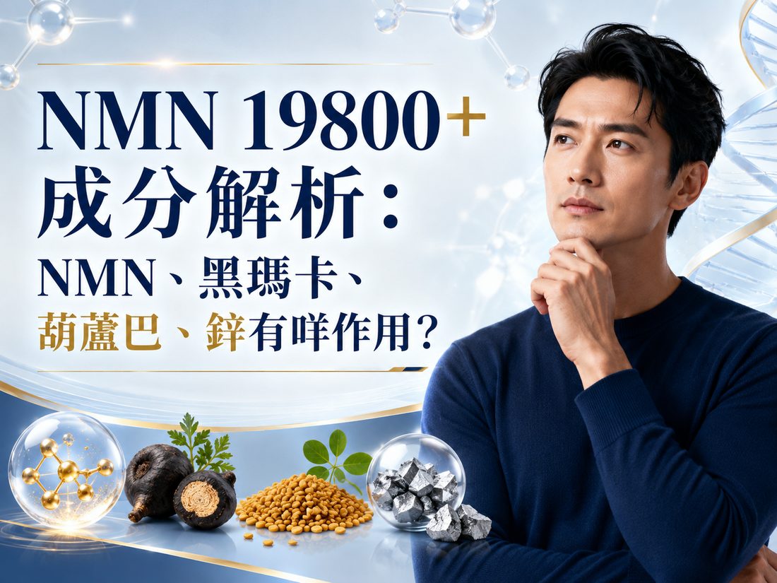 NMN 19800+ 成分解析：NMN、黑瑪卡、葫蘆巴、鋅有咩作用？
