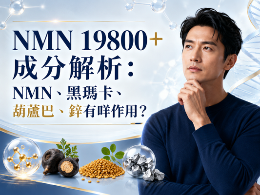 NMN 19800+ 成分解析：NMN、黑瑪卡、葫蘆巴、鋅有咩作用？