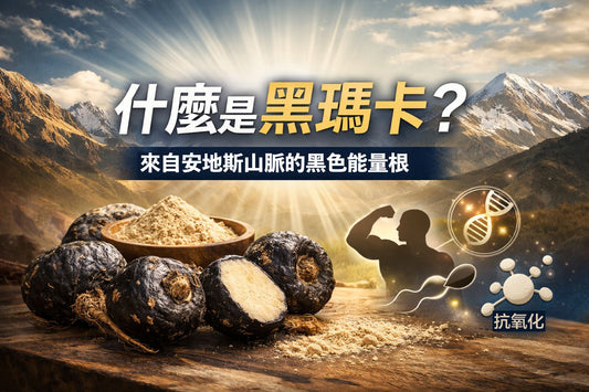 什麼是黑瑪卡？來自安地斯山脈的黑色能量根