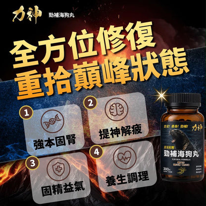 力神勁補海狗丸 300粒｜香港海狗丸推薦 溫補腎陽 補氣養血 強筋健骨