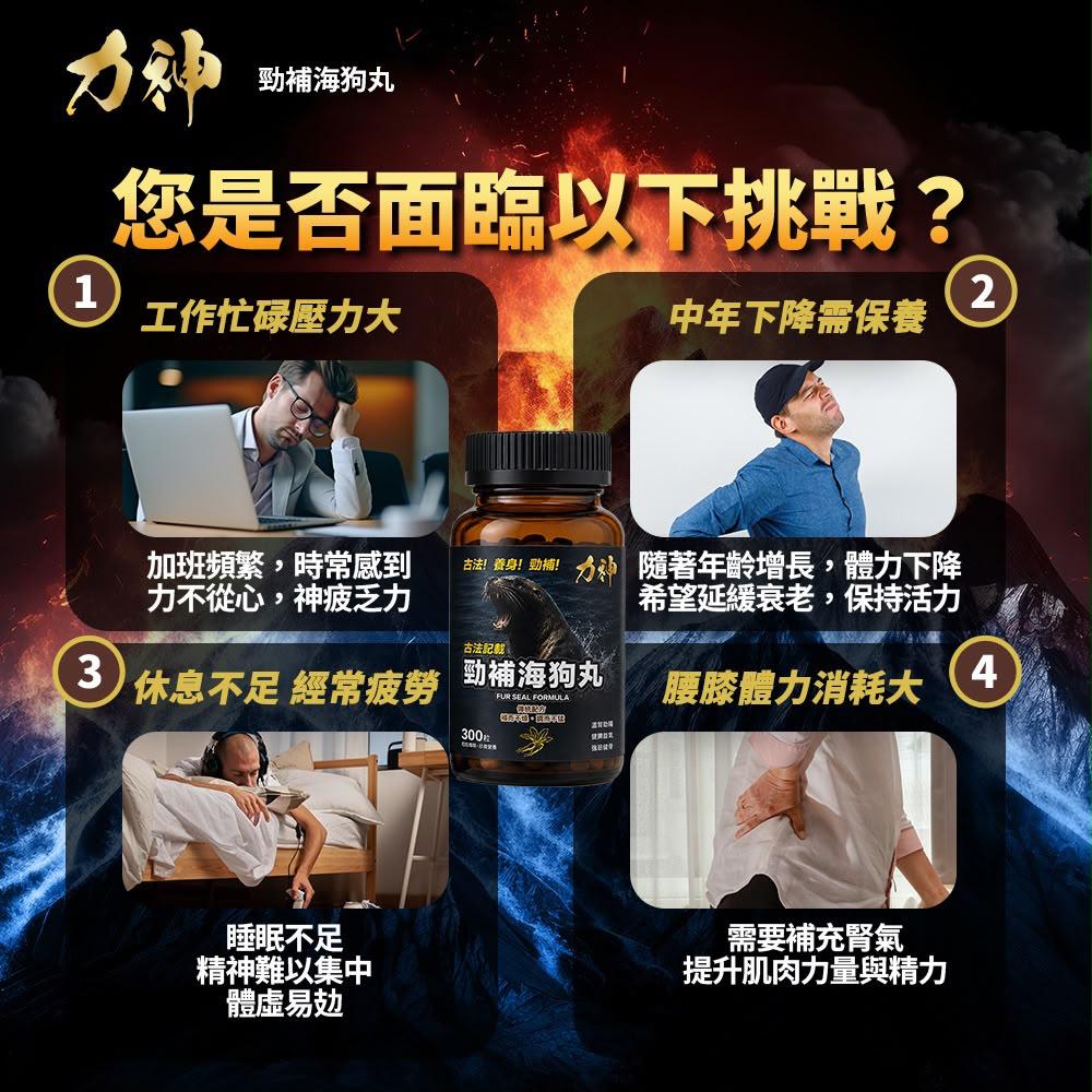 力神勁補海狗丸 300粒｜香港海狗丸推薦 溫補腎陽 補氣養血 強筋健骨