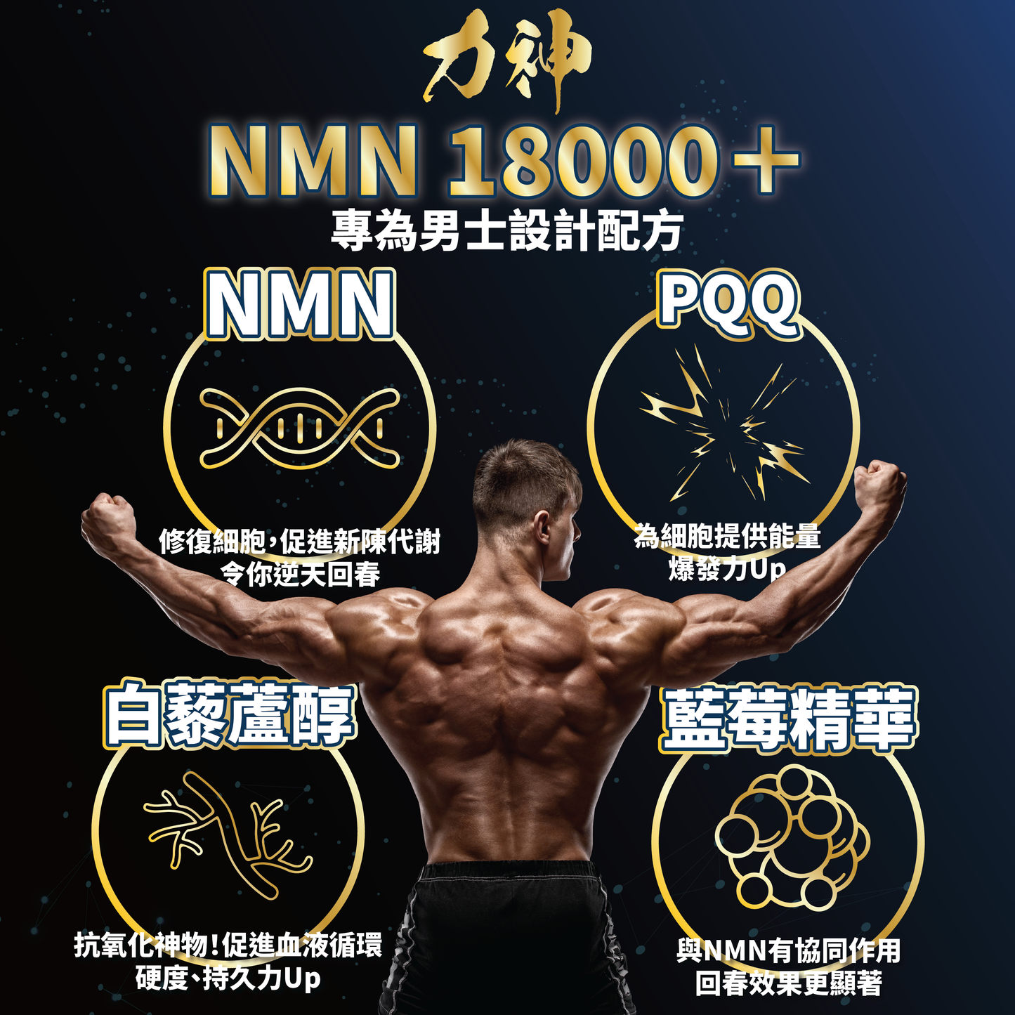 力神 NMN 18000+ 男士逆天回春丸 60粒